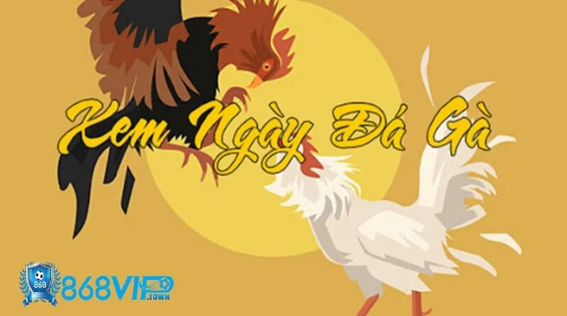 Cách Xem Ngày Đá Gà 868Vip | Lịch Đá Và Mẹo Xem Kết Quả - id Hướng dẫn chi tiết cách xem ngày đá gà tại 868vip